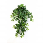 Green Ivy Hanging Bush 70cm